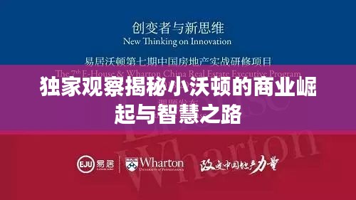獨(dú)家觀察揭秘小沃頓的商業(yè)崛起與智慧之路