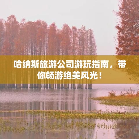 哈納斯旅游公司游玩指南，帶你暢游絕美風(fēng)光！