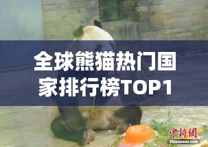 全球熊貓熱門國家排行榜TOP10揭曉！