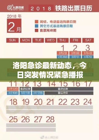 洛陽(yáng)急診最新動(dòng)態(tài)，今日突發(fā)情況緊急播報(bào)