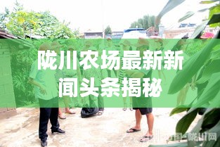 隴川農(nóng)場(chǎng)最新新聞?lì)^條揭秘