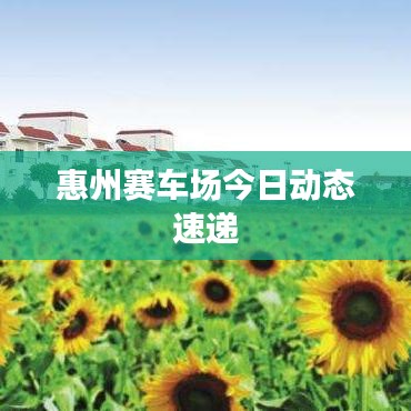 惠州賽車場今日動態(tài)速遞