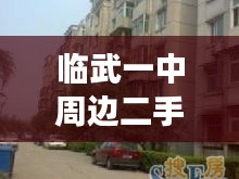 臨武一中周邊二手房市場深度探索與解析