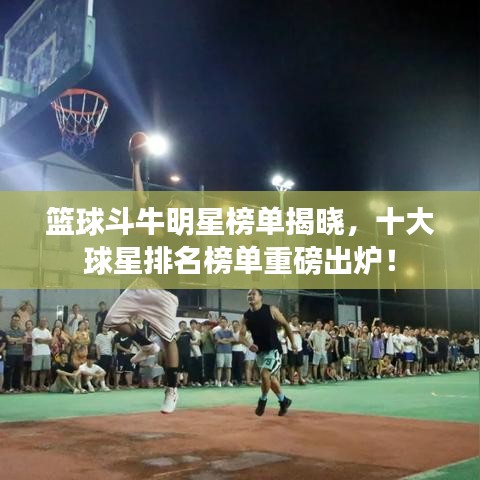 籃球斗牛明星榜單揭曉，十大球星排名榜單重磅出爐！