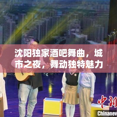 沈陽獨家酒吧舞曲，城市之夜，舞動獨特魅力