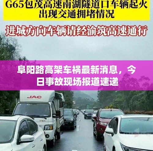 阜陽路高架車禍最新消息，今日事故現場報道速遞