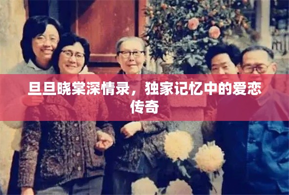旦旦曉棠深情錄，獨(dú)家記憶中的愛戀傳奇