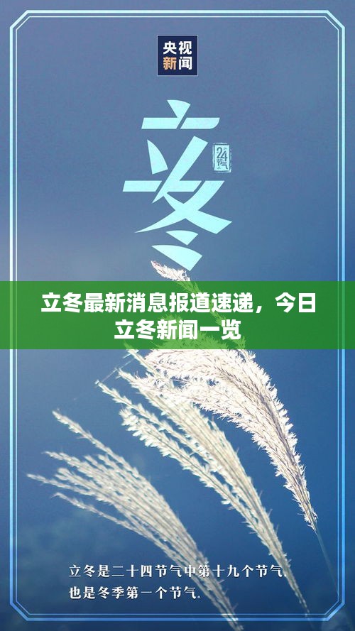 立冬最新消息報(bào)道速遞，今日立冬新聞一覽