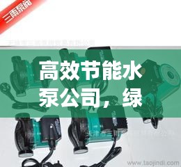 高效節(jié)能水泵公司，綠色發(fā)展的先鋒領(lǐng)航者