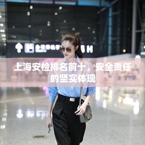上海安檢排名前十，安全責任的堅實體現(xiàn)