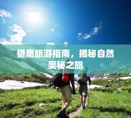 獵鷹旅游指南，揭秘自然奧秘之旅