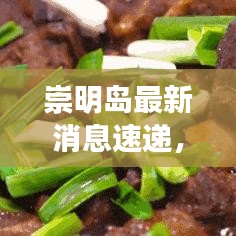 崇明島最新消息速遞，今日更新資訊！