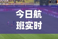 今日航班實(shí)時(shí)動(dòng)態(tài)更新，運(yùn)營(yíng)情況及最新頭條新聞