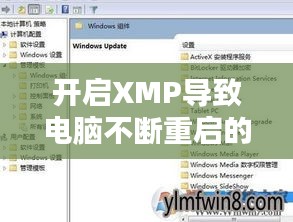 開(kāi)啟XMP導(dǎo)致電腦不斷重啟的原因解析