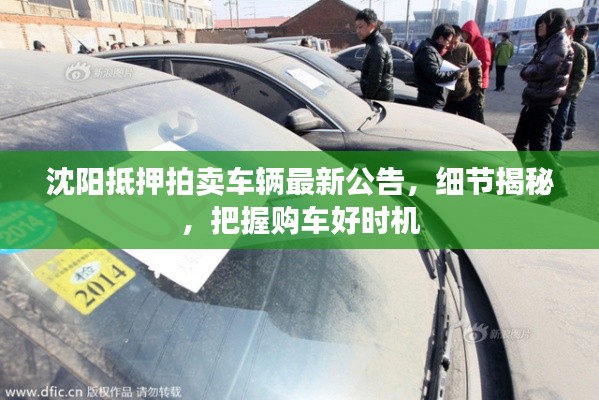 沈陽抵押拍賣車輛最新公告，細(xì)節(jié)揭秘，把握購車好時(shí)機(jī)