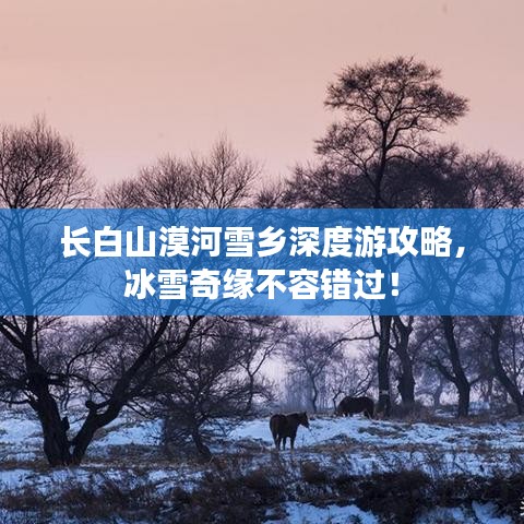 長(zhǎng)白山漠河雪鄉(xiāng)深度游攻略，冰雪奇緣不容錯(cuò)過(guò)！