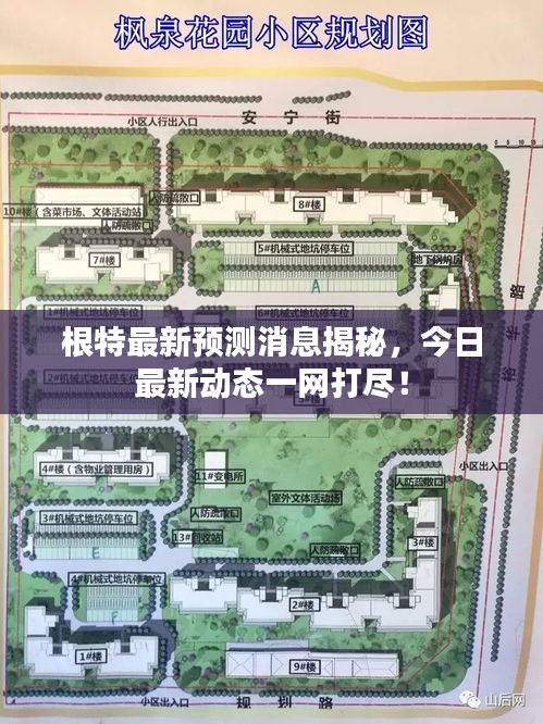 根特最新預(yù)測消息揭秘，今日最新動態(tài)一網(wǎng)打盡！