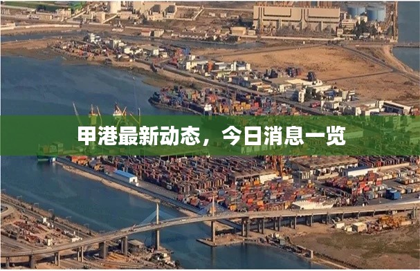甲港最新動態(tài)，今日消息一覽