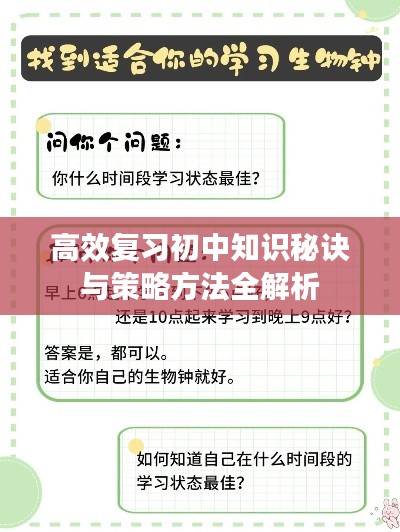 高效復(fù)習(xí)初中知識秘訣與策略方法全解析