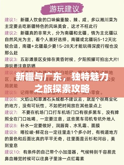 新疆與廣東，獨(dú)特魅力之旅探索攻略