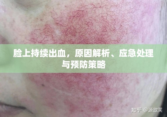 臉上持續(xù)出血，原因解析、應(yīng)急處理與預(yù)防策略
