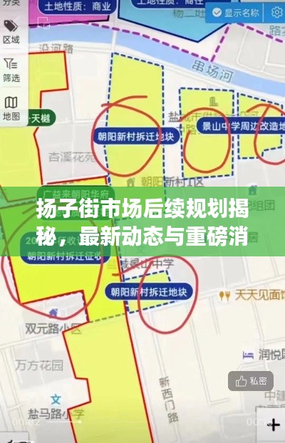 揚子街市場后續(xù)規(guī)劃揭秘，最新動態(tài)與重磅消息！