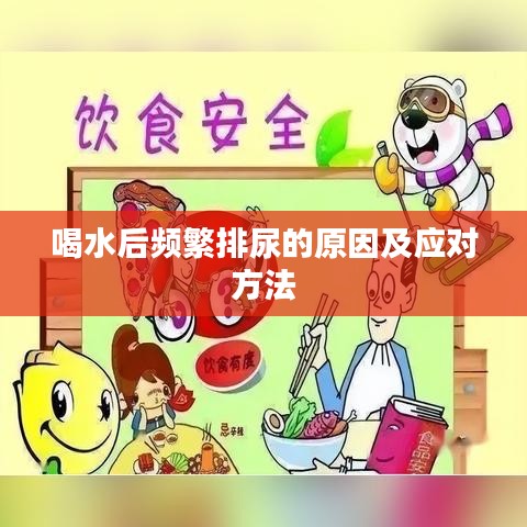 喝水后頻繁排尿的原因及應(yīng)對方法