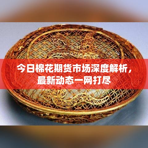 今日棉花期貨市場深度解析，最新動態(tài)一網(wǎng)打盡