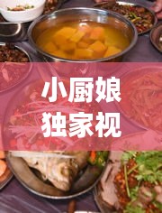 小廚娘獨(dú)家視頻下載，美食制作與分享的新紀(jì)元