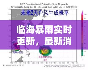 臨海暴雨實時更新，最新消息及影響分析