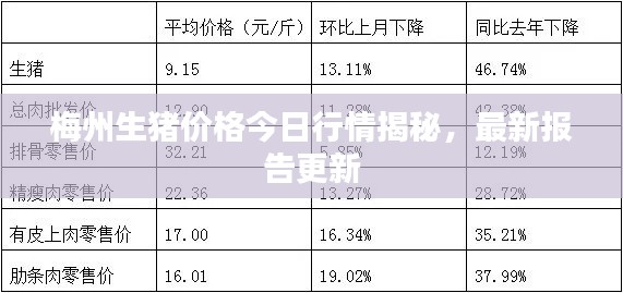 梅州生豬價格今日行情揭秘，最新報告更新
