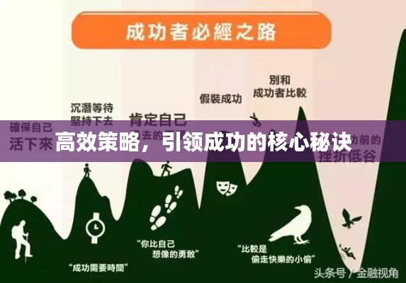 高效策略，引領(lǐng)成功的核心秘訣