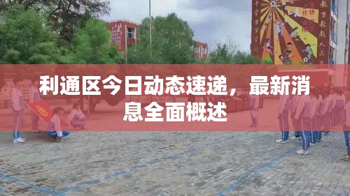 利通區(qū)今日動(dòng)態(tài)速遞，最新消息全面概述