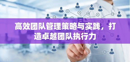 高效團(tuán)隊(duì)管理策略與實(shí)踐，打造卓越團(tuán)隊(duì)執(zhí)行力