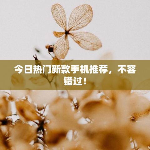今日熱門新款手機(jī)推薦，不容錯過！