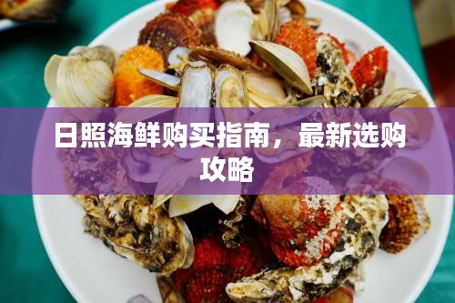 日照海鮮購買指南，最新選購攻略