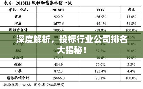 深度解析，投標(biāo)行業(yè)公司排名大揭秘！
