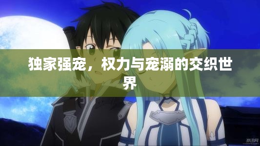 獨(dú)家強(qiáng)寵，權(quán)力與寵溺的交織世界