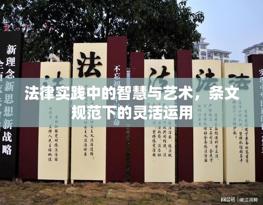 法律實(shí)踐中的智慧與藝術(shù)，條文規(guī)范下的靈活運(yùn)用