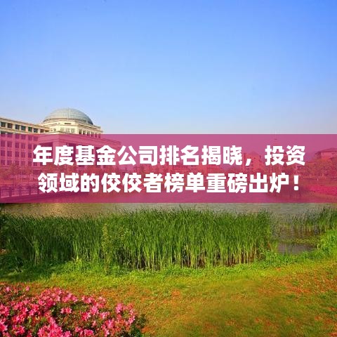 年度基金公司排名揭曉，投資領(lǐng)域的佼佼者榜單重磅出爐！