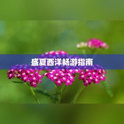盛夏西洋暢游指南