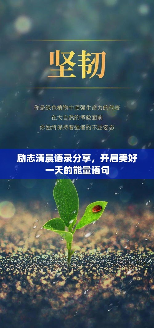 勵志清晨語錄分享，開啟美好一天的能量語句
