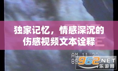 獨(dú)家記憶，情感深沉的傷感視頻文本詮釋