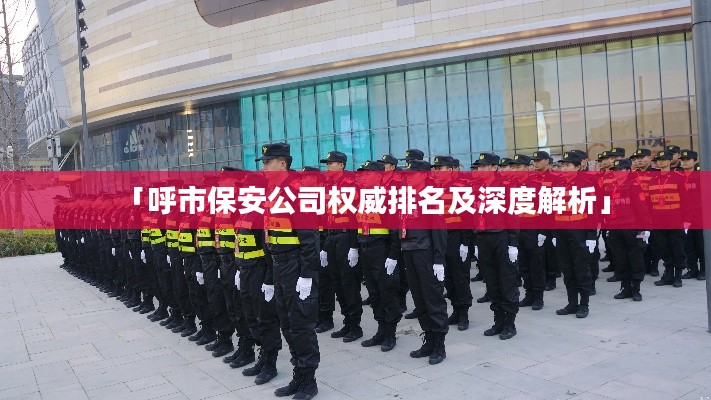 「呼市保安公司權(quán)威排名及深度解析」