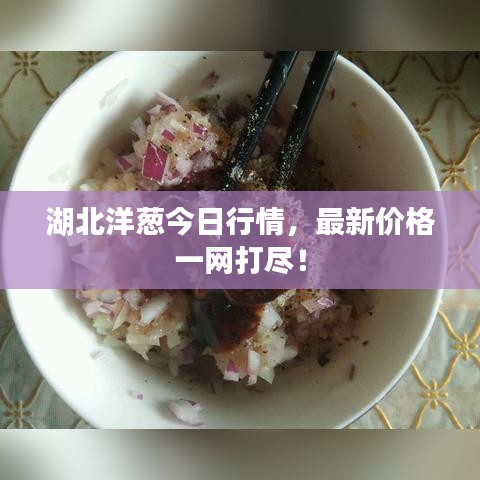 湖北洋蔥今日行情，最新價(jià)格一網(wǎng)打盡！