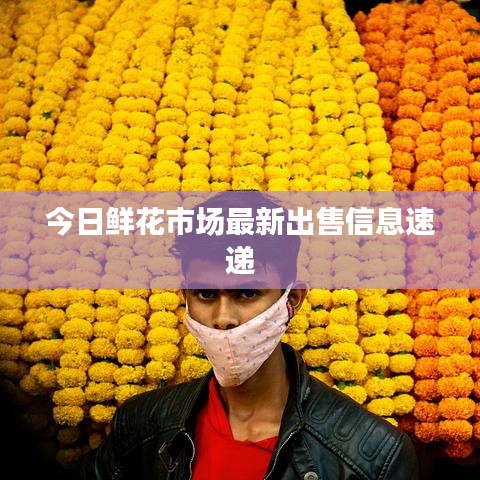 今日鮮花市場最新出售信息速遞