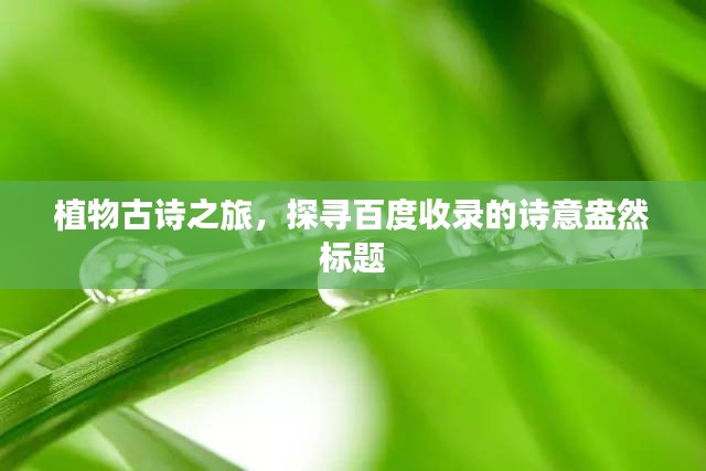 植物古詩之旅，探尋百度收錄的詩意盎然標題