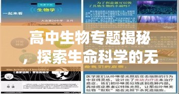 高中生物專題揭秘，探索生命科學的無盡奧秘