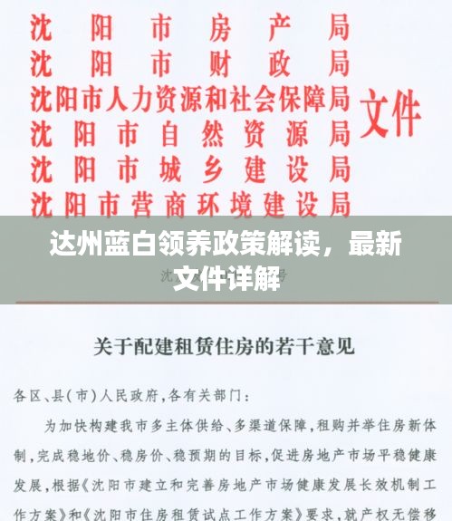 達(dá)州藍(lán)白領(lǐng)養(yǎng)政策解讀，最新文件詳解