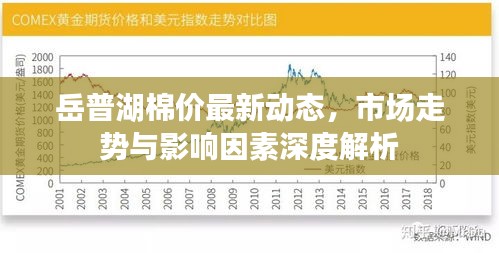 岳普湖棉價最新動態(tài)，市場走勢與影響因素深度解析